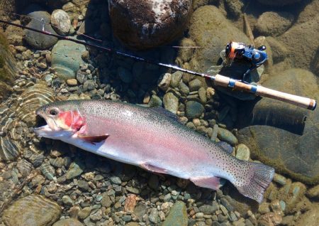 大型は釣れたが... ～天竜川ルアーフライ…